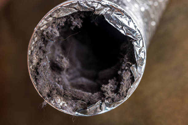 Best Ductwork Cleaning Services  in Clewiston, FL