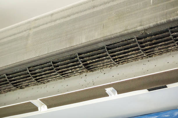 Best Emergency Air Duct Cleaning  in Clewiston, FL