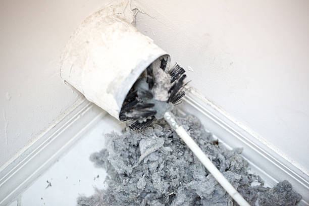 Best Local Air Duct Cleaning Services  in Clewiston, FL