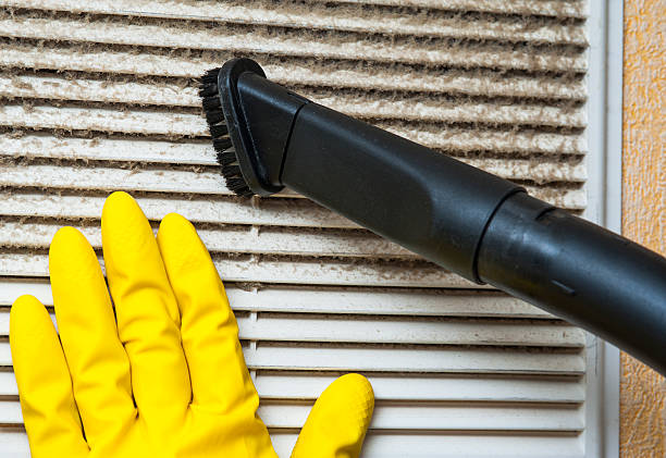 Best Ductwork Cleaning Services  in Clewiston, FL